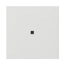 Rocker, blank with control window System 55