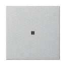 Rocker, blank with control window System 55