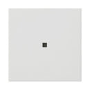 Rocker, blank with control window System 55