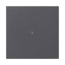 Rocker, blank with control window System 55