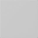 Rocker, blank System 55