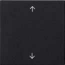 Rocker, 1-gang with arrow symbols System 55