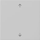 Rocker, 1-gang with arrow symbols System 55