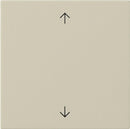 Rocker, 1-gang with arrow symbols System 55