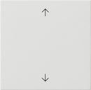 Rocker, 1-gang with arrow symbols System 55