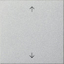 Rocker, 1-gang with arrow symbols System 55