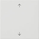 Rocker, 1-gang with arrow symbols System 55