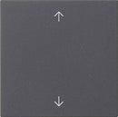 Rocker, 1-gang with arrow symbols System 55