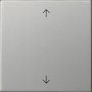 Rocker, 1-gang with arrow symbols System 55