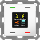 Push Button Smart 55 with colour display