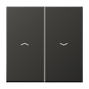2-gang rocker with arrow symbols - LS Range