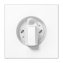 Centre plate with knob