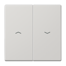 2-gang rocker with arrow symbols - LS Range