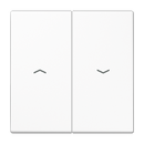 2-gang rocker with arrow symbols - LS Range