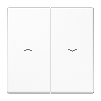 Jung Rocker Switch Jung 2-gang rocker with arrow symbols - LS Range