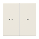 2-gang rocker with arrow symbols - LS Range