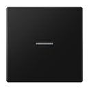 F10 Rocker with lens - LS Range