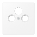 Centre plate for SAT-TV-FM socket outlet - LS Range