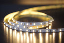 4.8w 24v IP20 2835 LED Tape Pack -  5m Pack