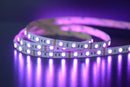 14.4w 24v IP20 5050 LED Tape Pack -  5m Pack