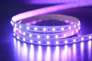 19.2w 24v IP20 5050 3k LED Tape Pack -  5m Pack